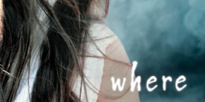 Waiting on Wednesday – Where She Went by Gayle Forman