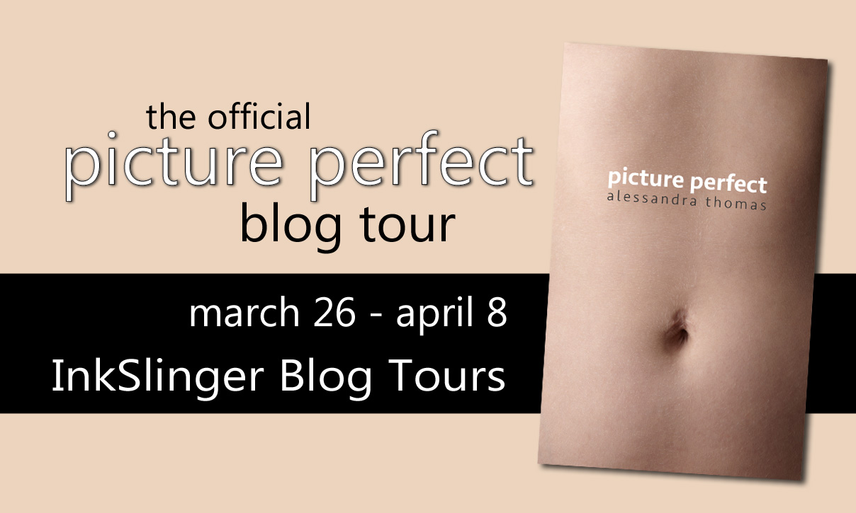 Picture Perfect blog tour