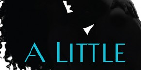 Cover Reveal: A Little Too Much by Lisa Desrochers