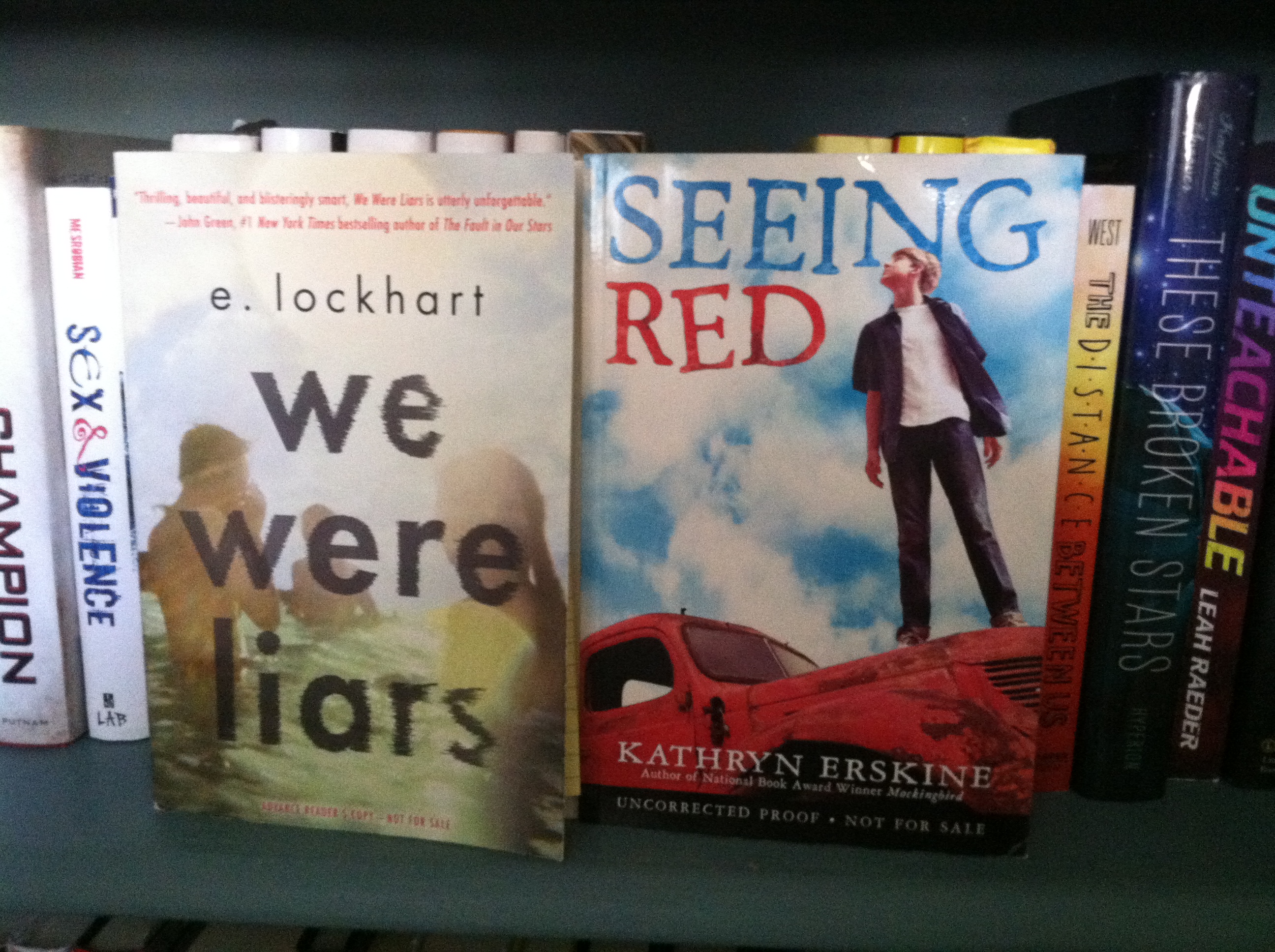 we were liars and seeing red