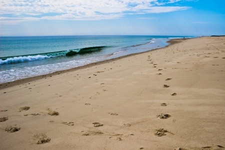 cape cod beach footprints