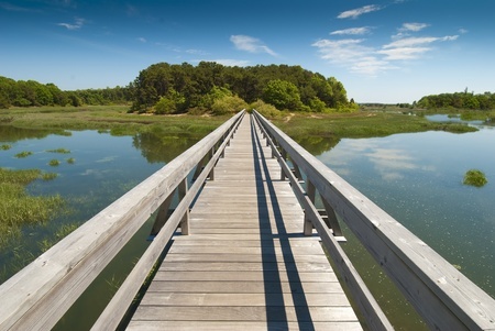 cape cod bridge